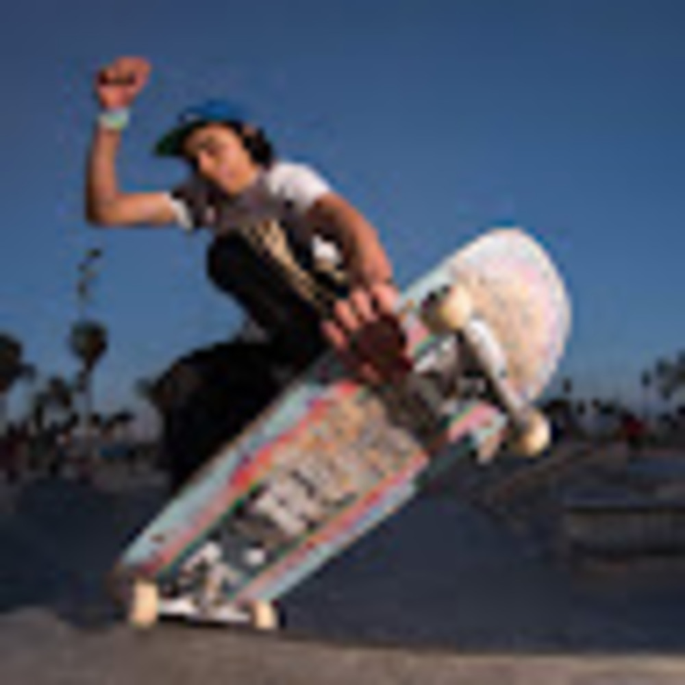 Meet your Posher, Skaterat